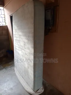 Latex Foam Mattress -10 Inches