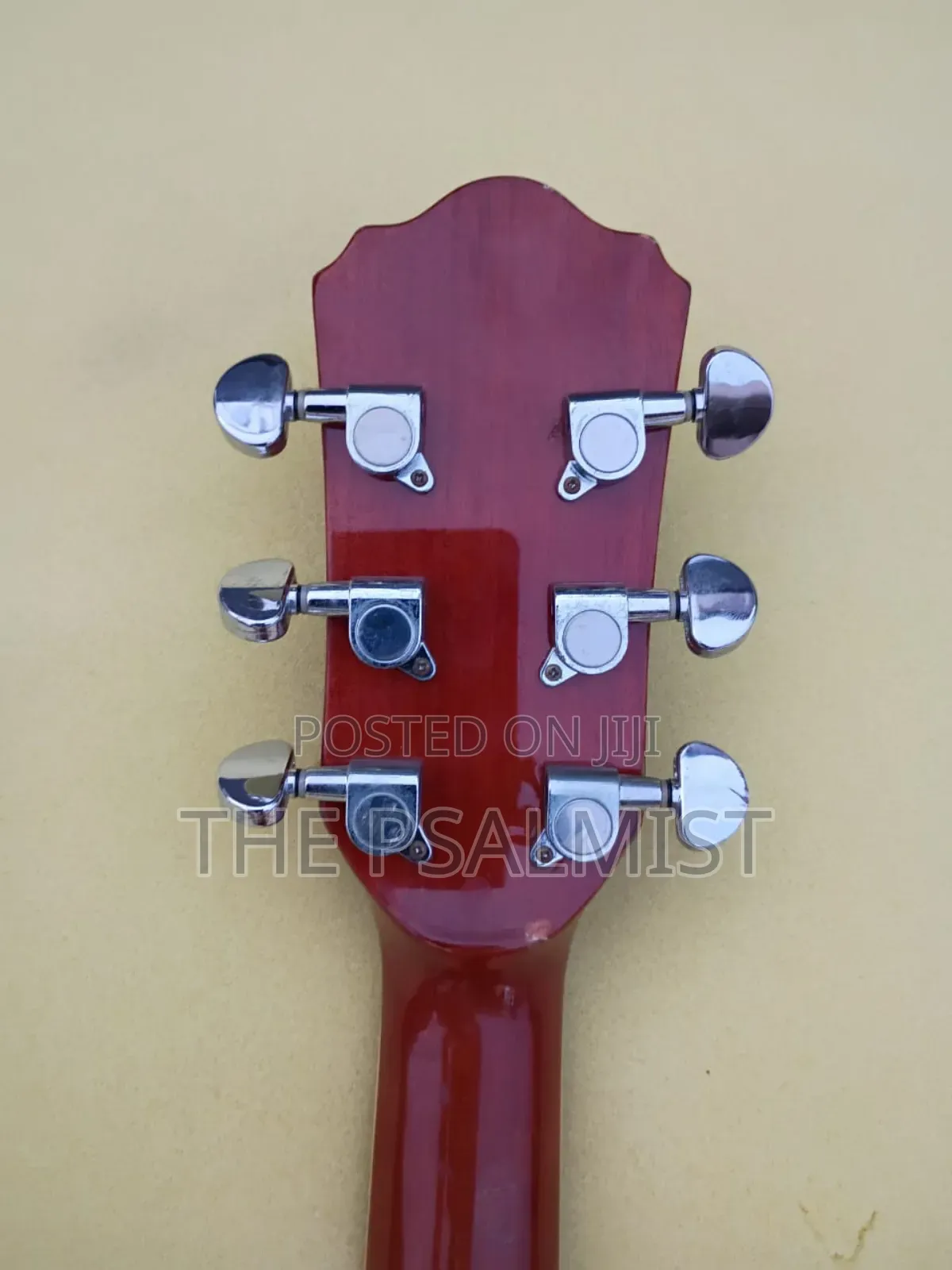 Fenix Fg10 Young Chang Acoustic Guitar