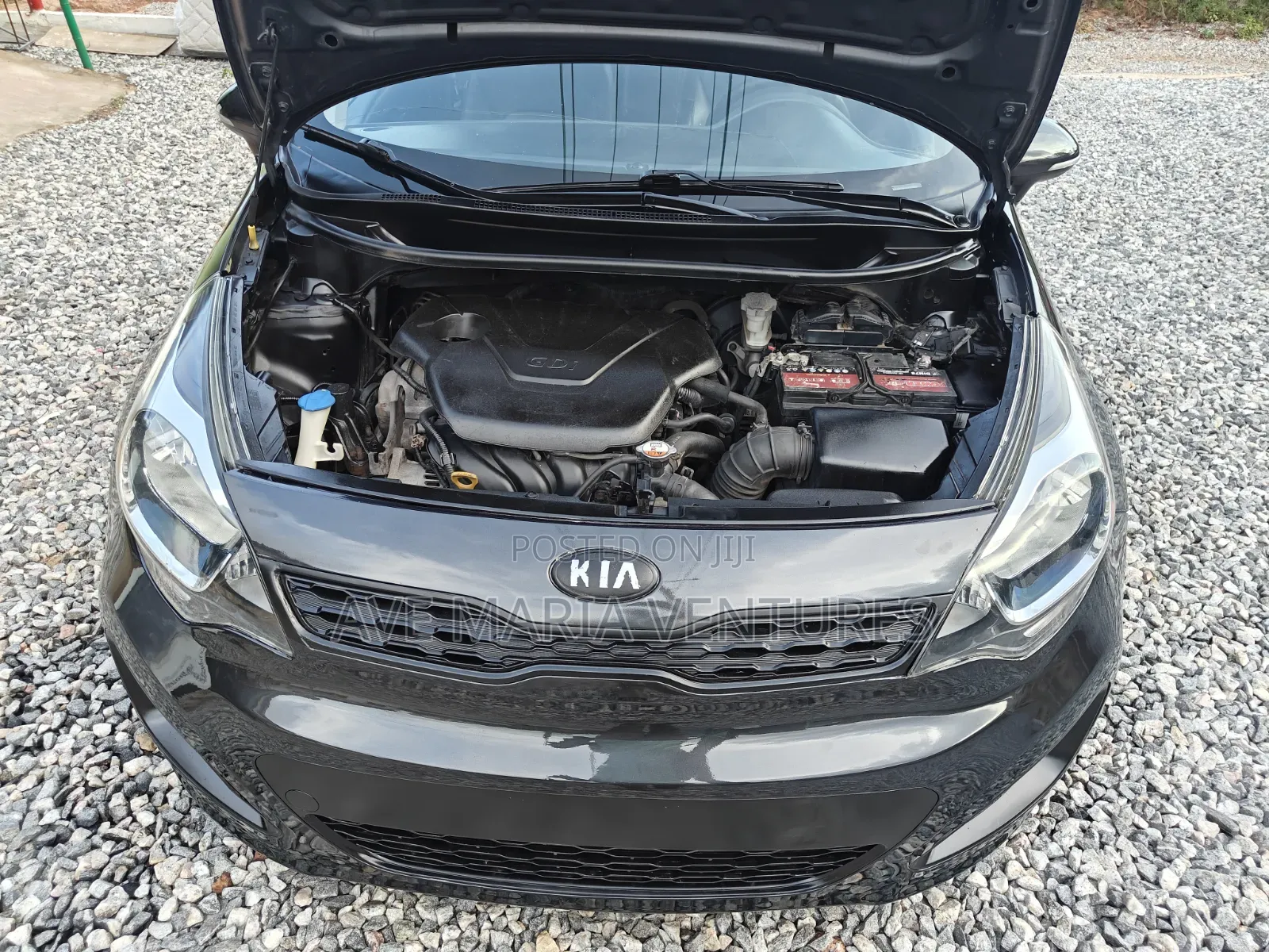 Kia Rio SX 4dr Sedan (1.6L 4cyl 6A) 2015 Green