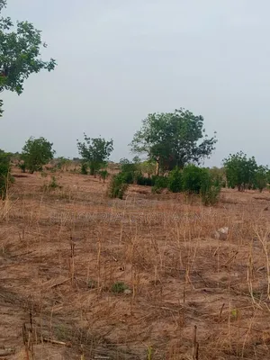 Gravel Plots At Kanshegu For Sale
