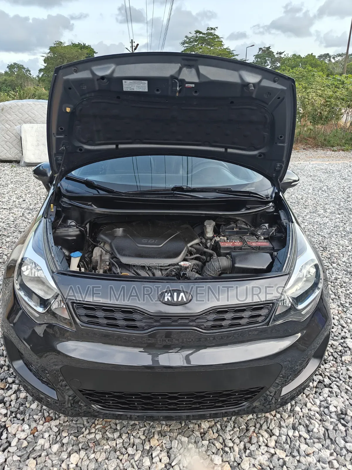 Kia Rio SX 4dr Sedan (1.6L 4cyl 6A) 2015 Green