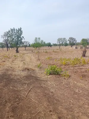 Plots At Bupkurugu For Sale.