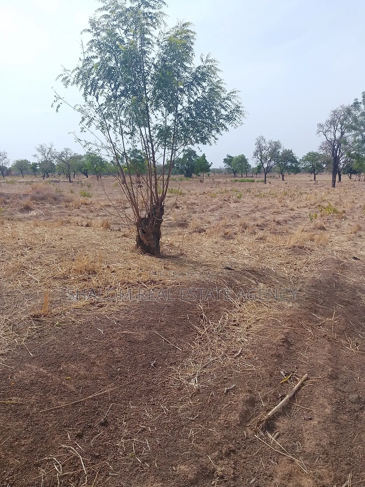 Plots At Bupkurugu For Sale.