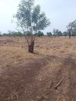 Plots At Bupkurugu For Sale.