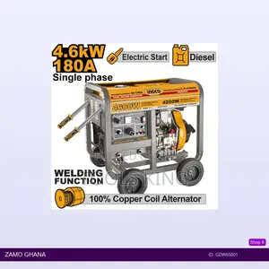 Diesel Welder - Gdw65001