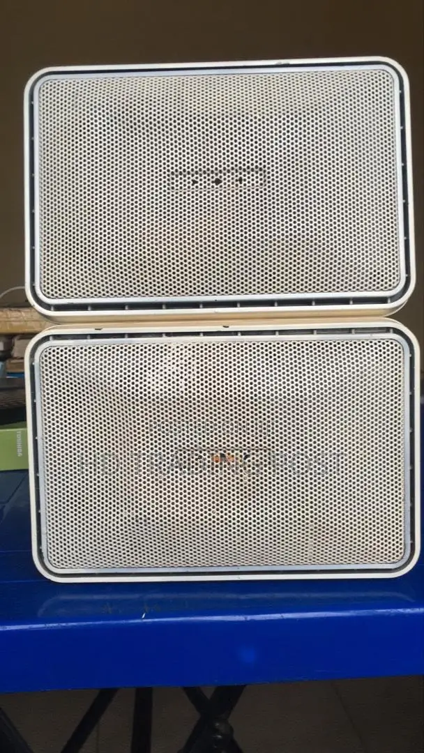 Bose Passive Speaker
