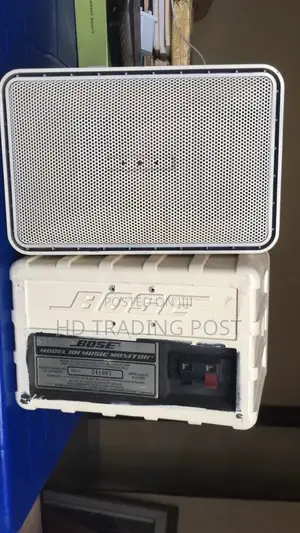 Bose Passive Speaker