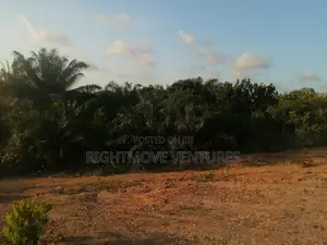 Land for Sale at Takroadi