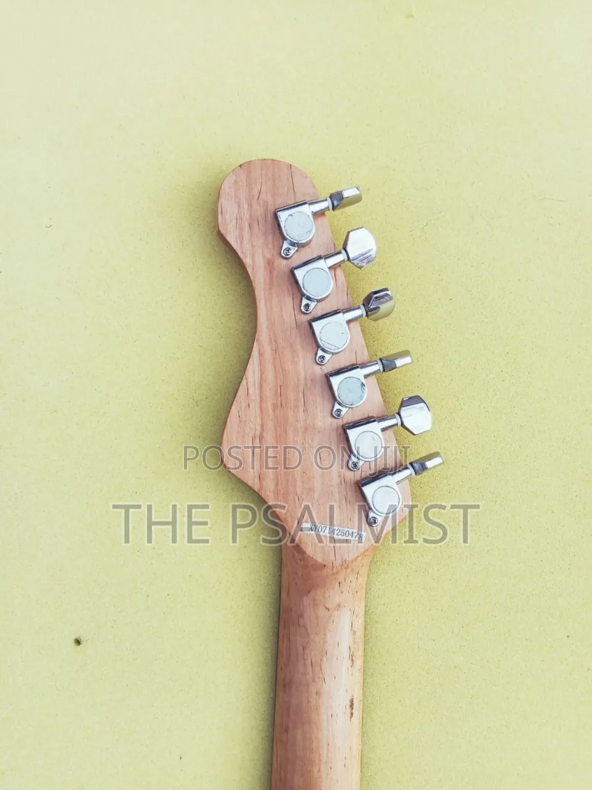 Elevation Stratocaster Electric Guitar