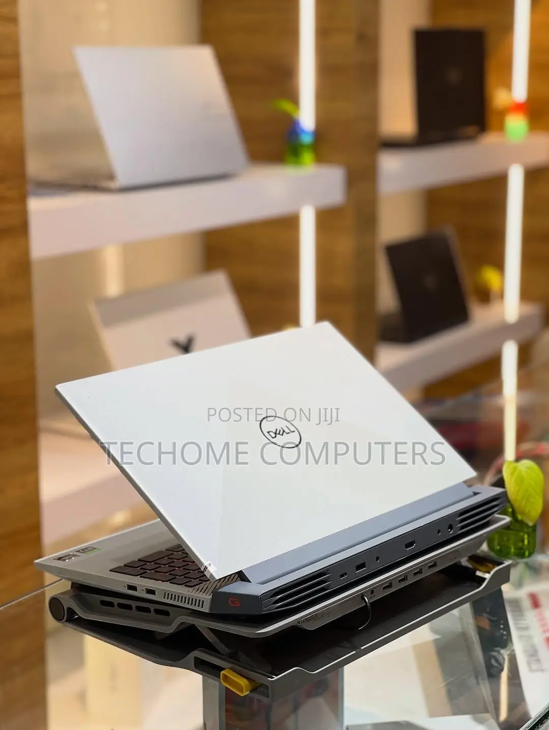 Laptop Dell G15 5511 16GB AMD Ryzen 7 SSD 512GB