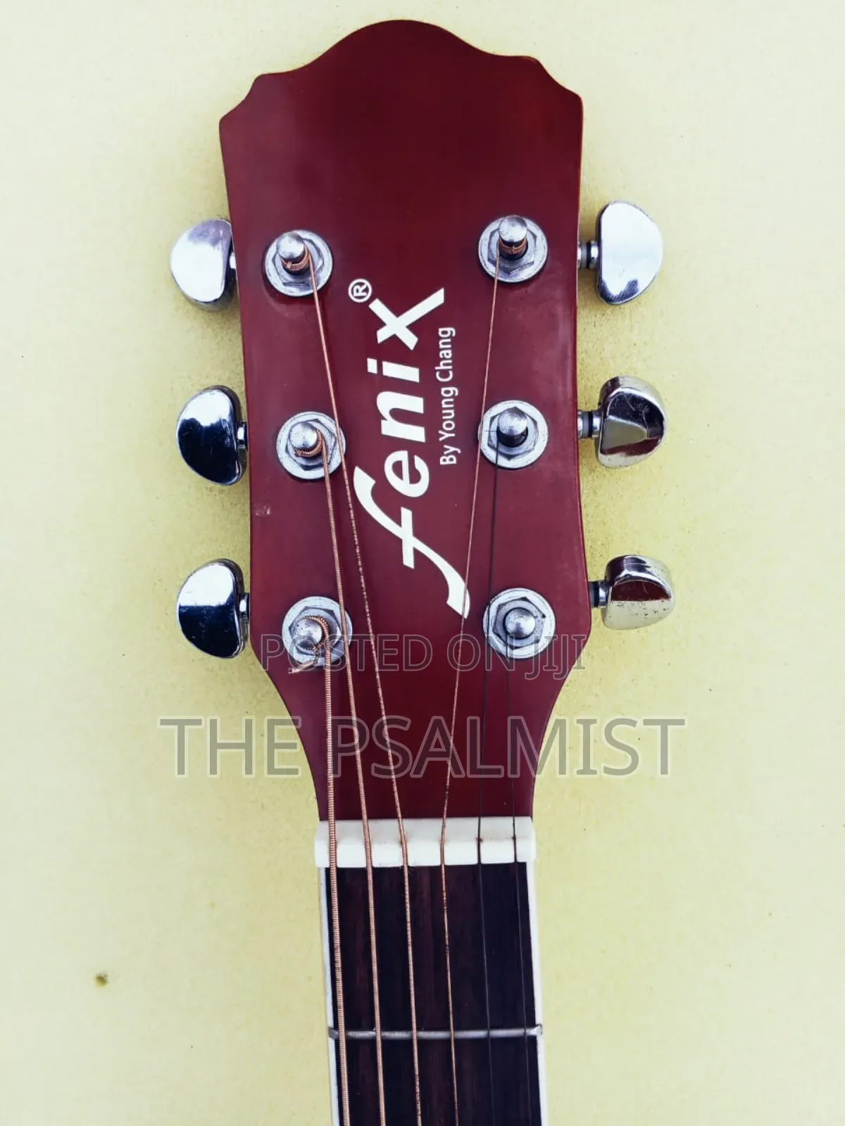 Fenix Fg10 Young Chang Acoustic Guitar