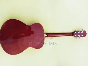 Fenix Fg10 Young Chang Acoustic Guitar