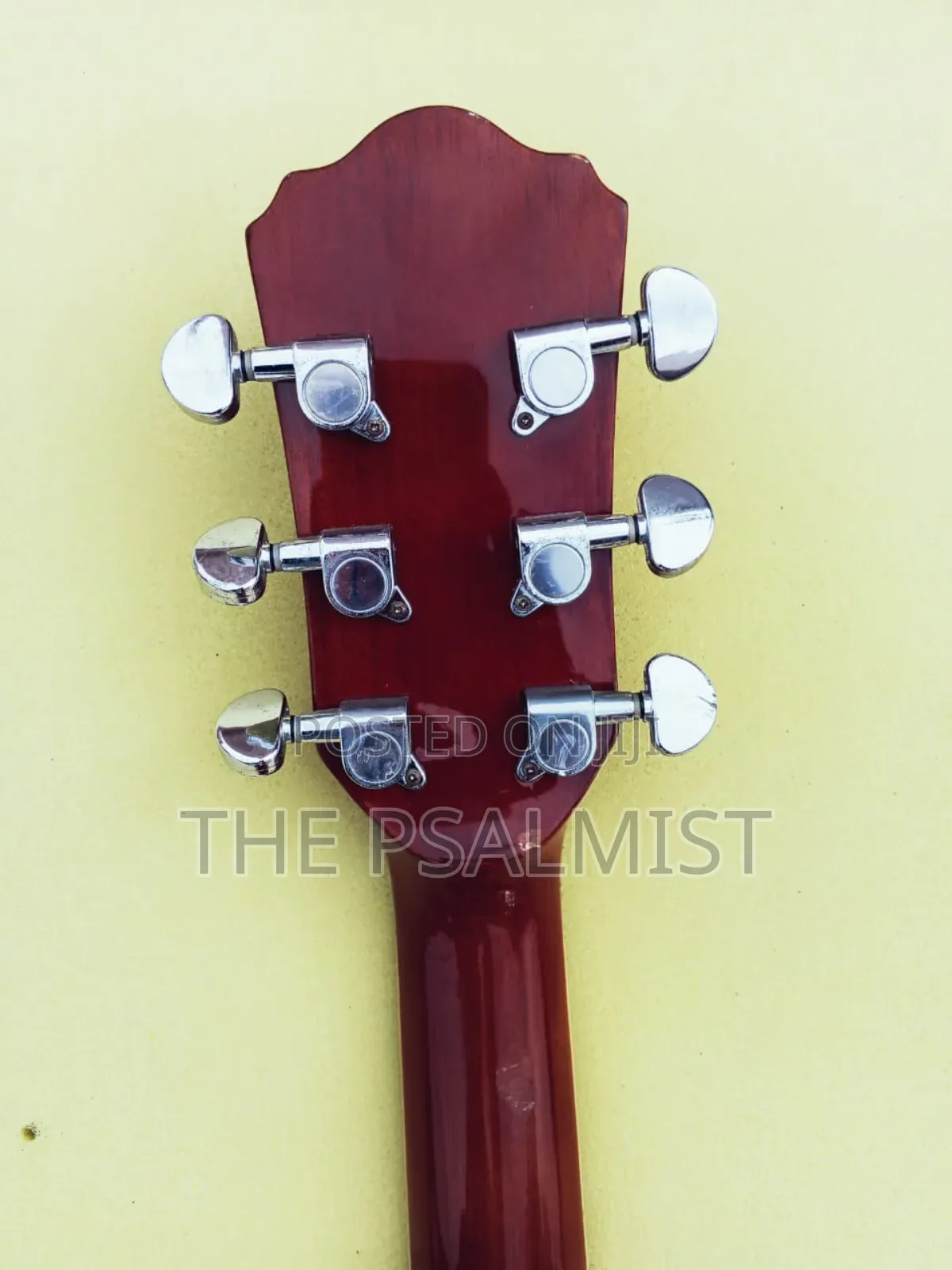 Fenix Fg10 Young Chang Acoustic Guitar