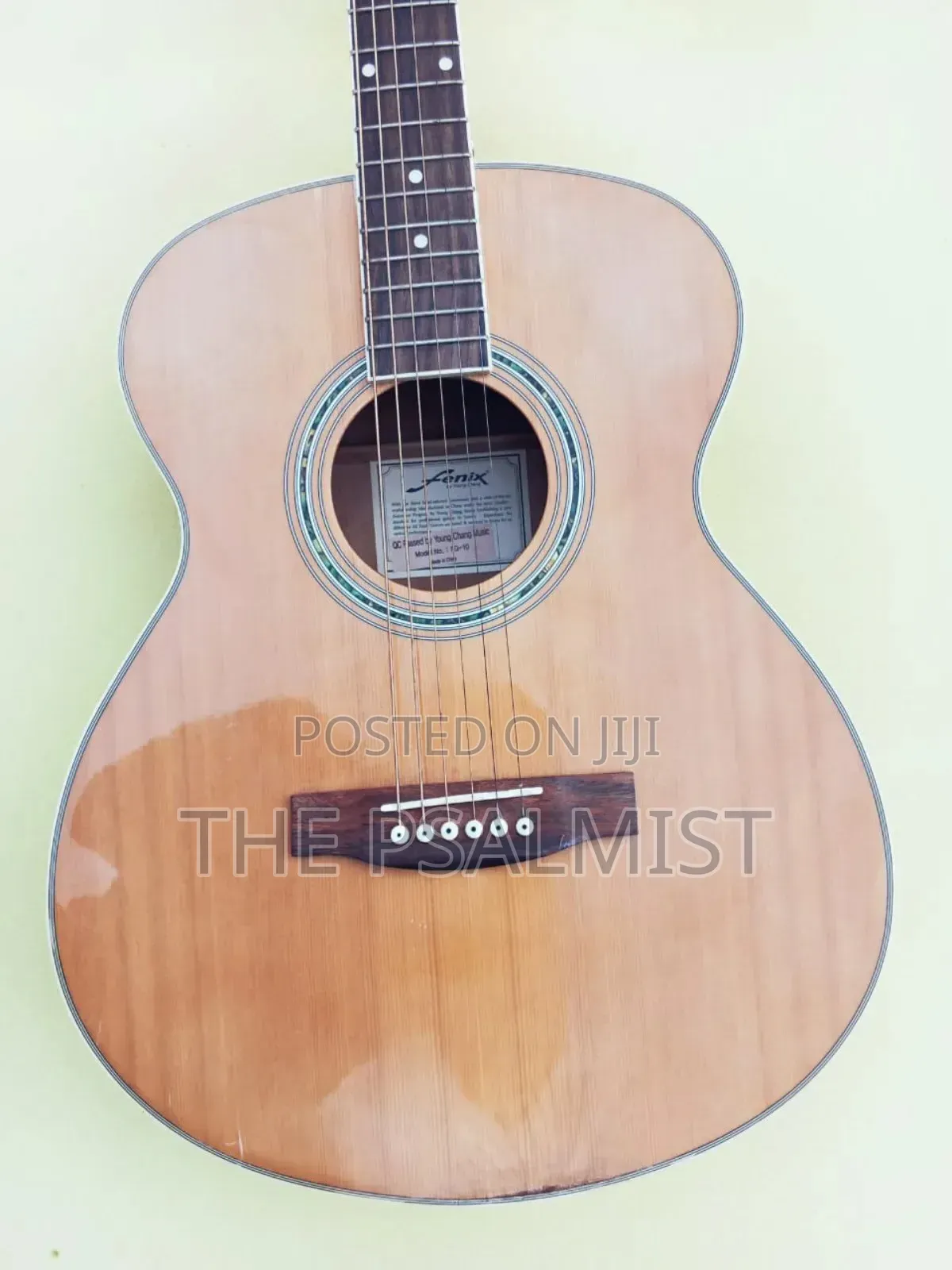 Fenix Fg10 Young Chang Acoustic Guitar