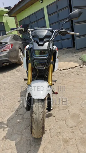 Honda 2020 White