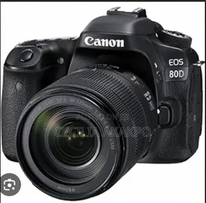 Canon Camera 80d, Picture /Videos, It Takes High Quality Pictures More