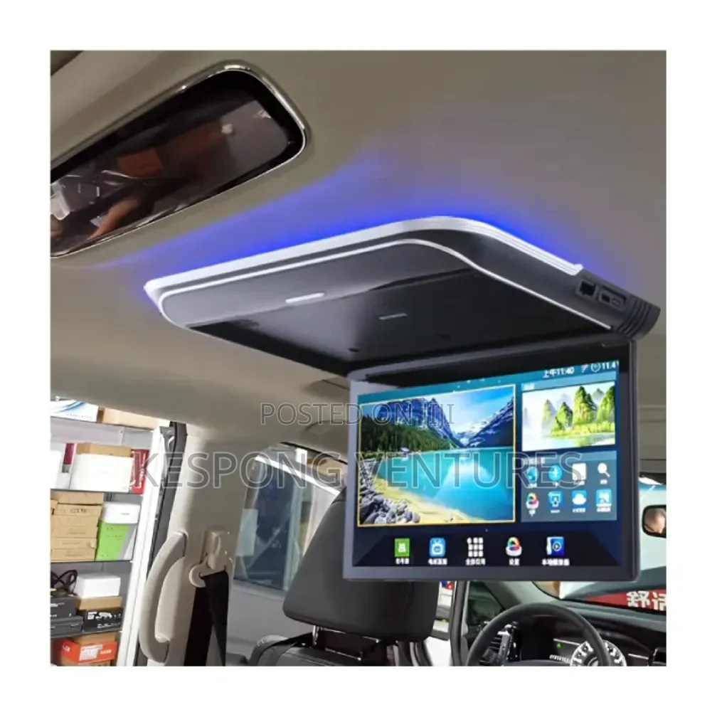 Car Ceiling Monitor
