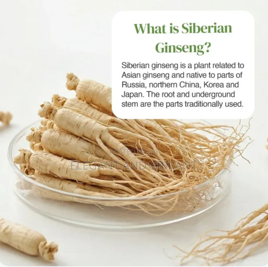 Geinseng Tablet 600mg Siberian Geinseng From Zipvit