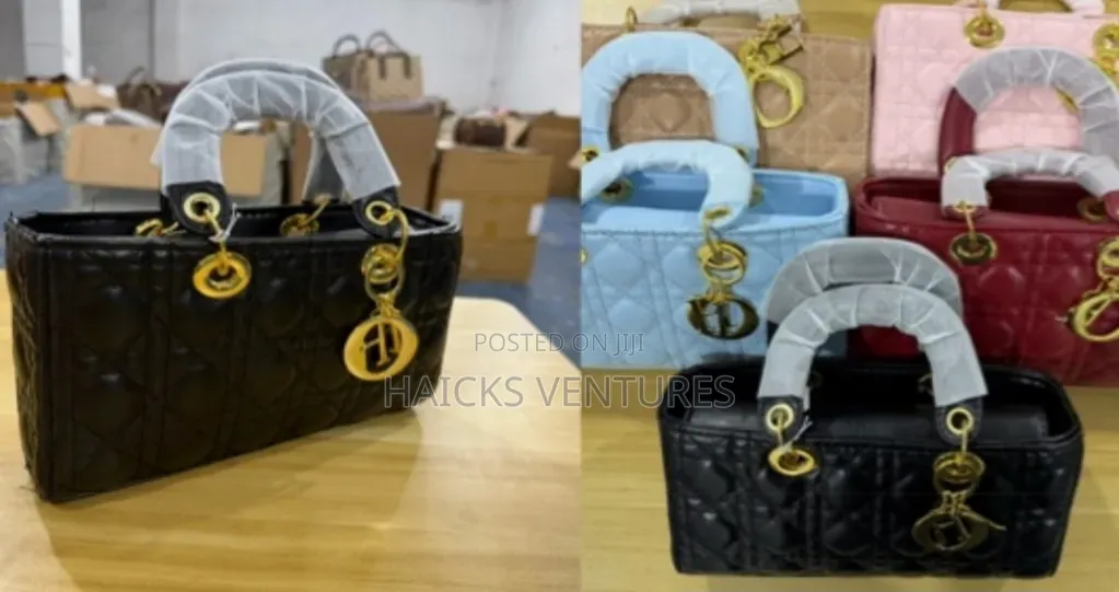 Designer Dior Bag