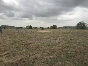 Prampram Airport Lands for Sale