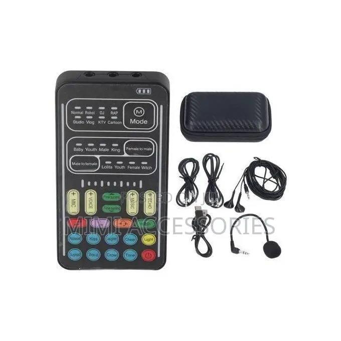 Voice Changer Device