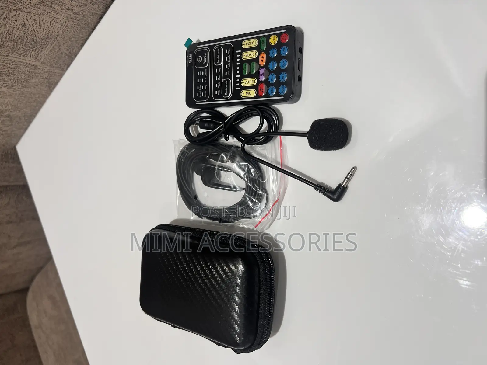 Voice Changer Device