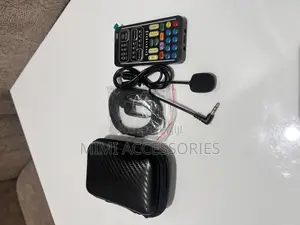Voice Changer Device