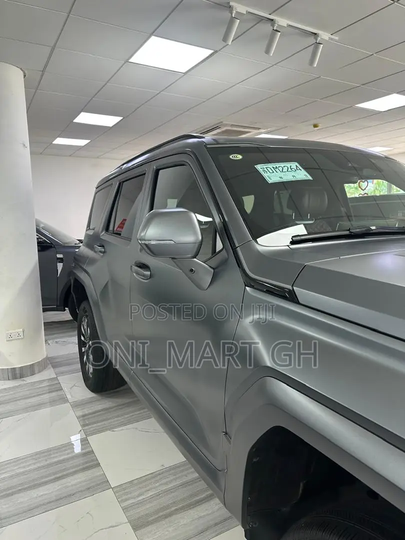 New Car 2025 Gray