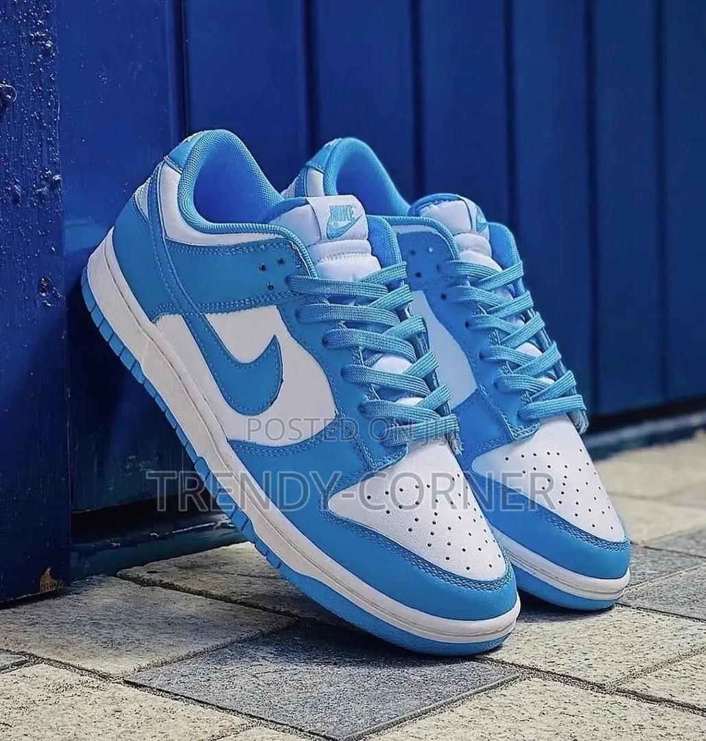 Nike Dunk Low “White Grey Red” 'University Blue' "Panda" Sneakers