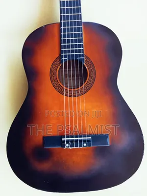 Paloma Pl 20 Classical Guitar