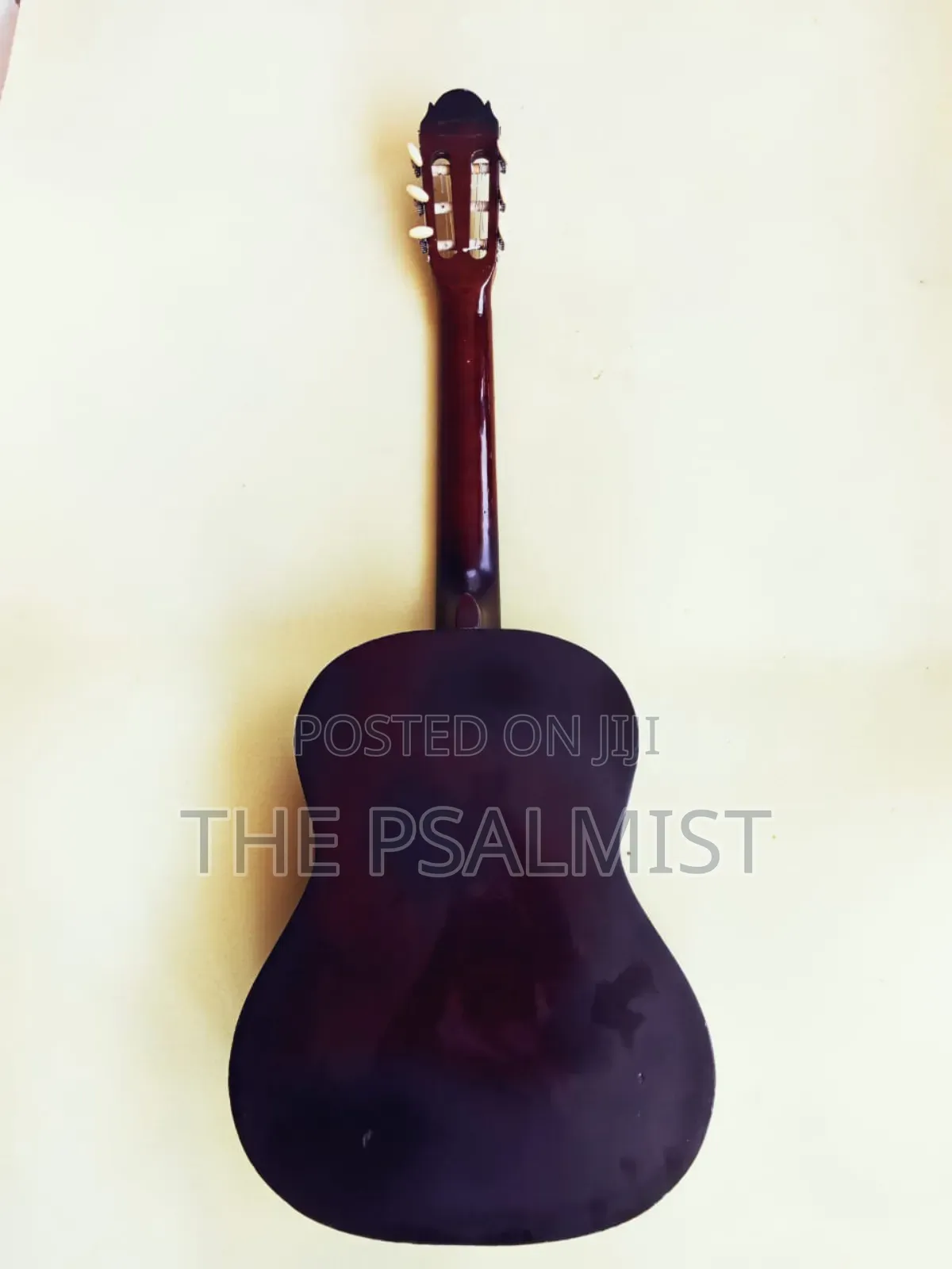 Paloma Pl 20 Classical Guitar