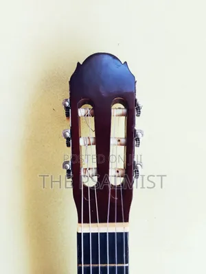 Paloma Pl 20 Classical Guitar