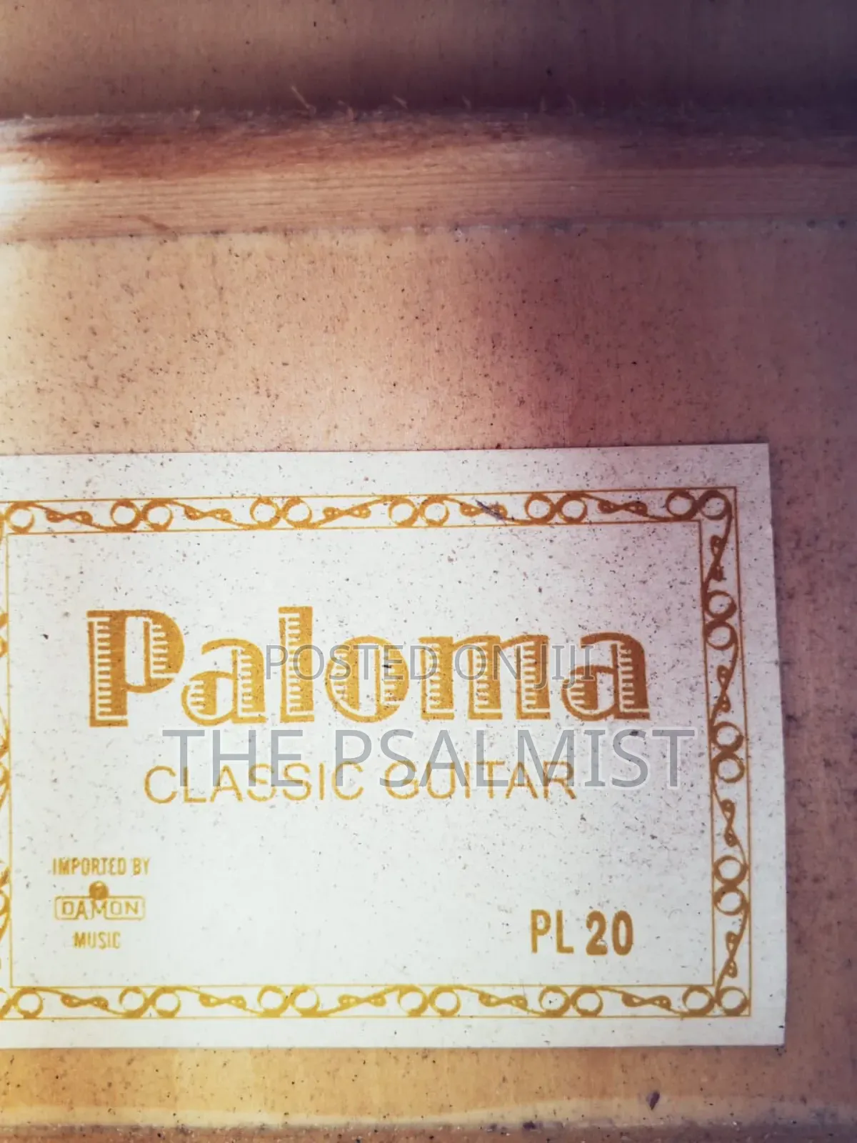 Paloma Pl 20 Classical Guitar