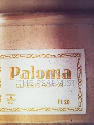 Paloma Pl 20 Classical Guitar