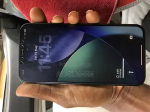 Apple iPhone 12 Pro Max 256 GB Purple