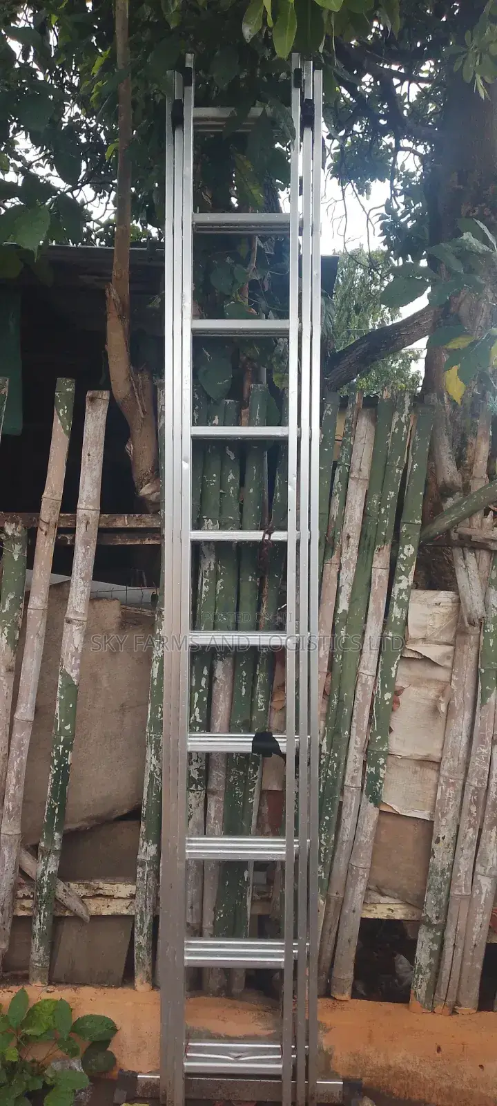 Ladder For Rental (30 Steps) /Scaffold Rental