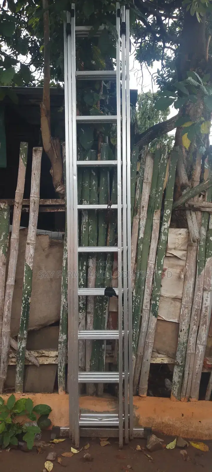 Ladder For Rental (30 Steps) /Scaffold Rental