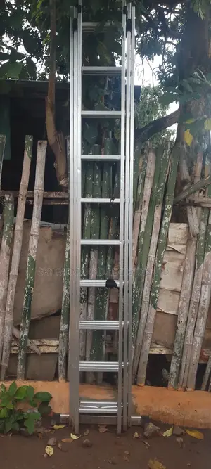 Ladder For Rental (30 Steps) /Scaffold Rental