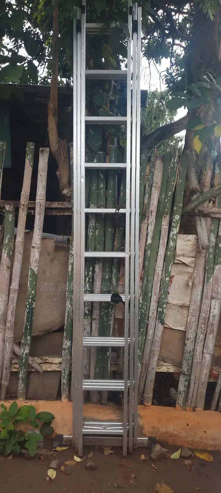 Ladder For Rental (30 Steps) /Scaffold Rental