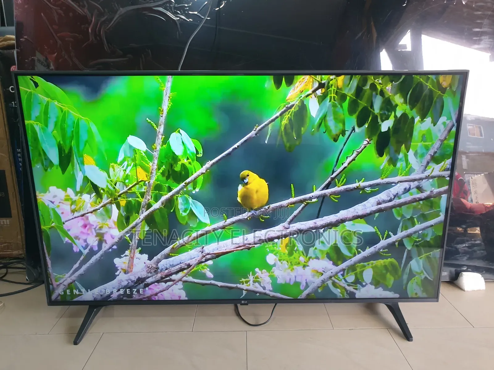 50_lg_uhd/Hdr_4k Edgeless Smart Satellite Tv