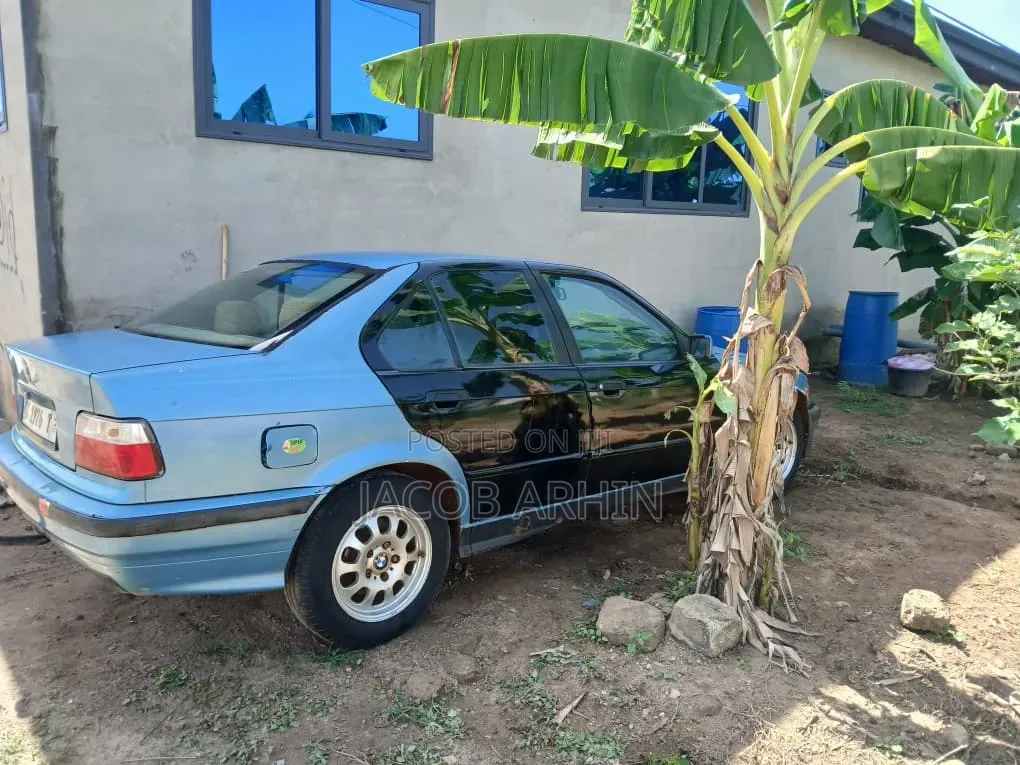 BMW 316i 1999 Blue