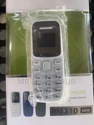 New Samsung B310