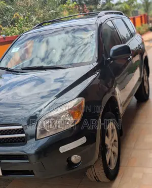 Toyota RAV4 2007 Gray
