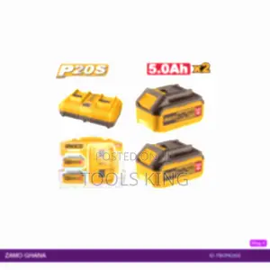 P20s Lithiumion Battery and Charger Kit 20v - Fbcpk2425