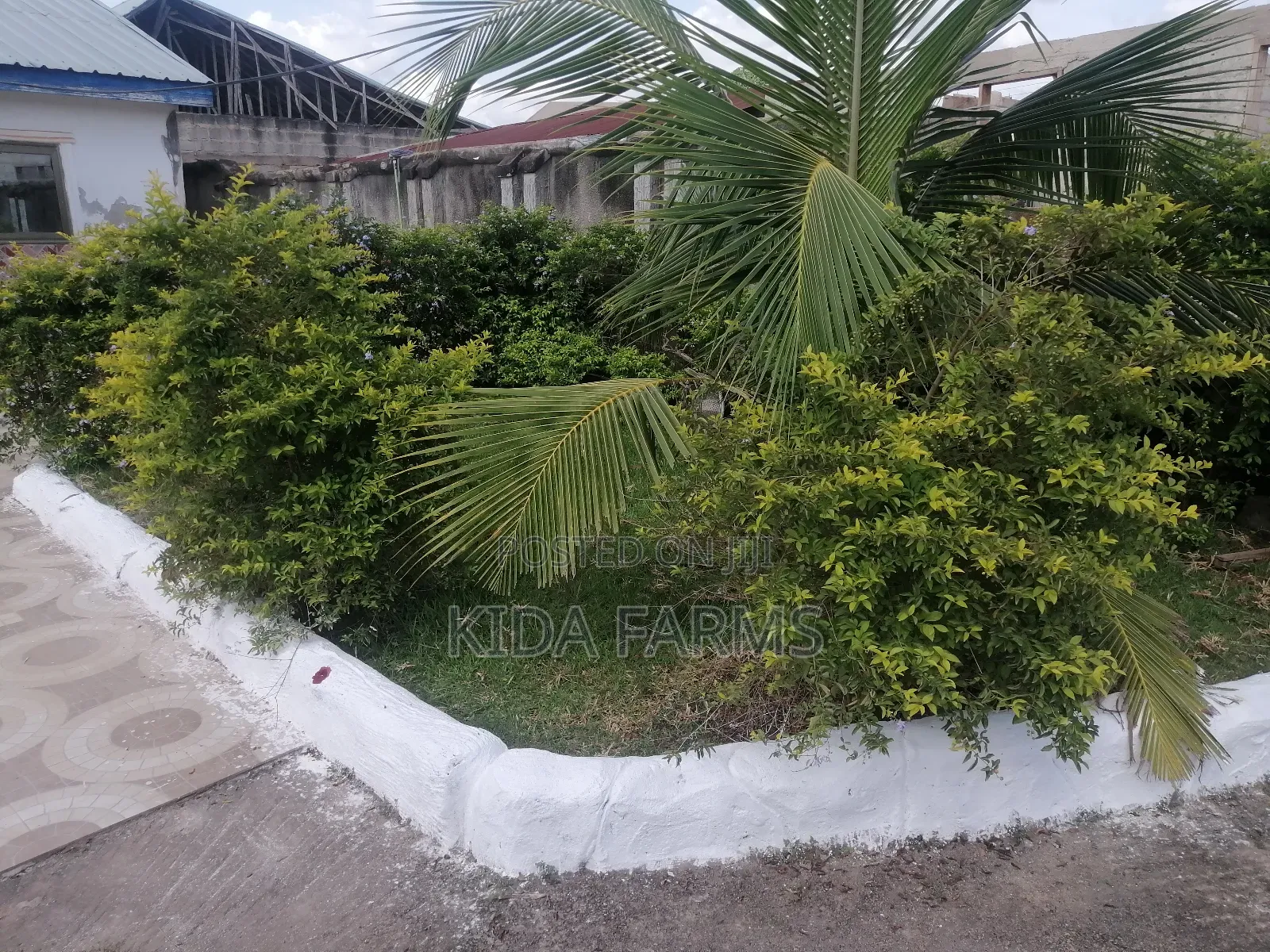 2bdrm Apartment in Nyameso, Obuasi Municipal for rent