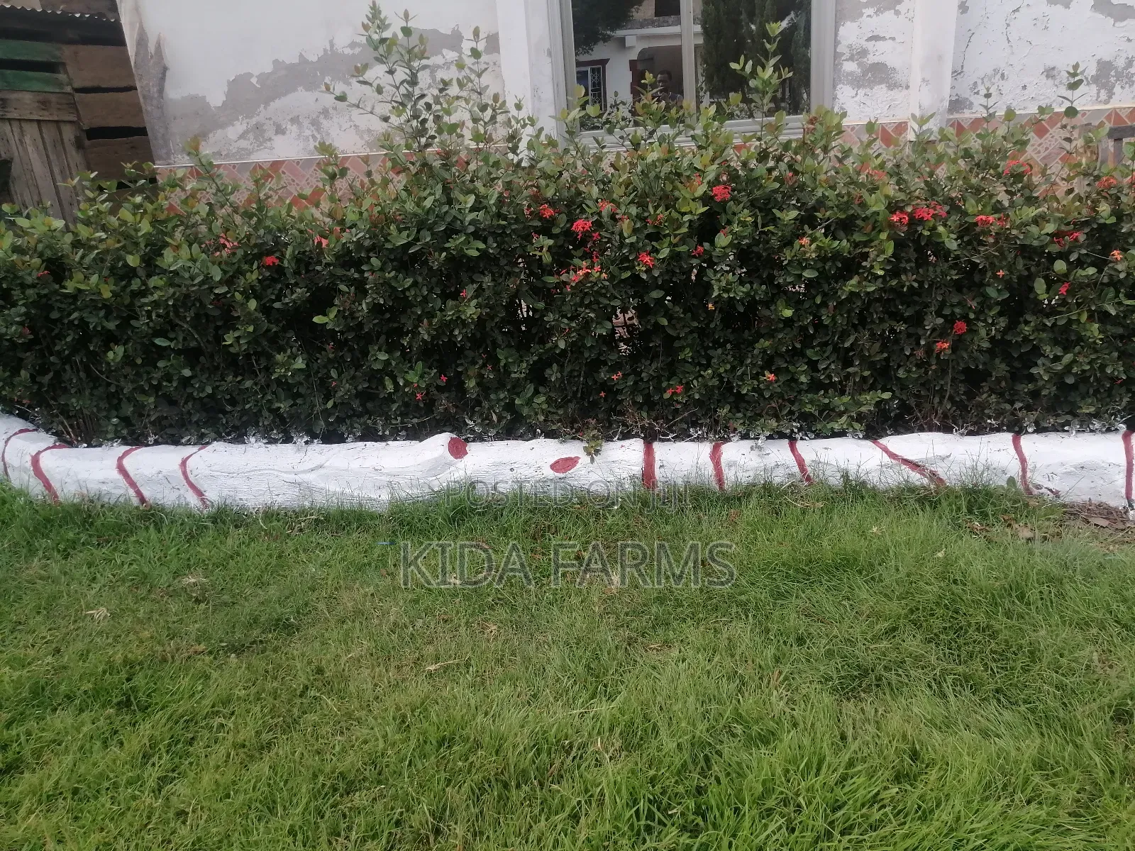 2bdrm Apartment in Nyameso, Obuasi Municipal for rent