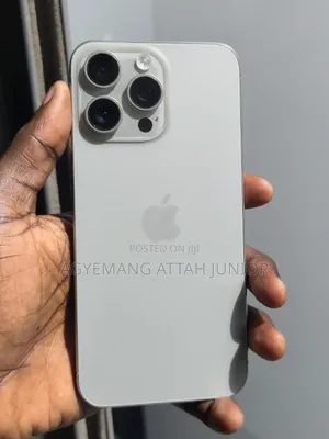 Apple iPhone 15 Pro Max 256 GB Silver