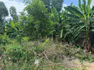 40 X 65 Plot of Land for Sale at Tantra Hills Around Rockies
