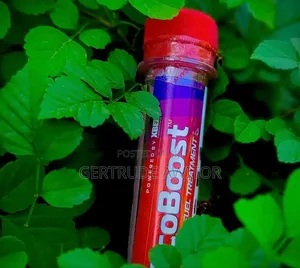 Ecoboost Fuel Enzyme