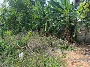 40 by 65 Plot of Land for Sale at Tantra Hills Rockies